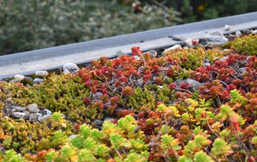the cost of Cowhill green roof installation