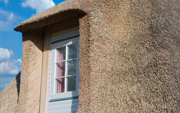 Cowhill thatch roof disadvantages